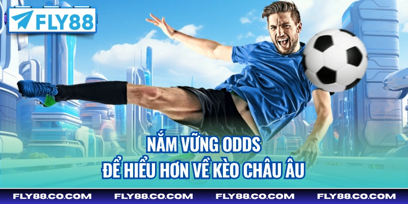 Nắm vững odds để hiểu hơn về kèo châu Âu